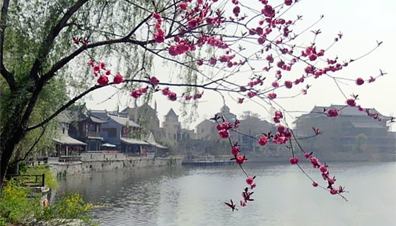 春天的古城台儿庄