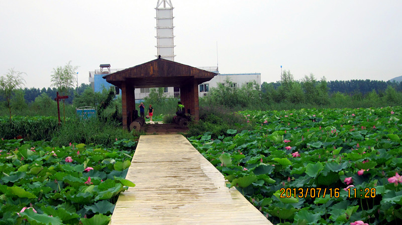 台儿庄运河湿地公园