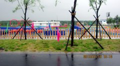 台儿庄运河湿地公园快乐大闯关的赛道 台儿庄运河湿地公园快乐大闯关的赛道