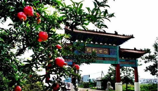 冠世榴园风景区 台儿庄古城二日游景点冠世榴园