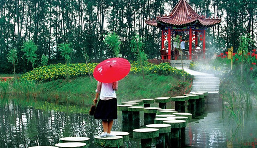 微山湖红荷湿地 台儿庄古城二日游景点微山湖红荷湿地