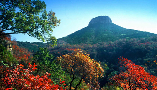 抱犊崮森林公园 台儿庄古城三日游景点抱犊崮