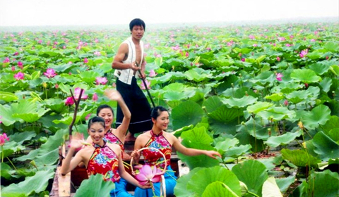 滕州微山湖红荷湿地风景区