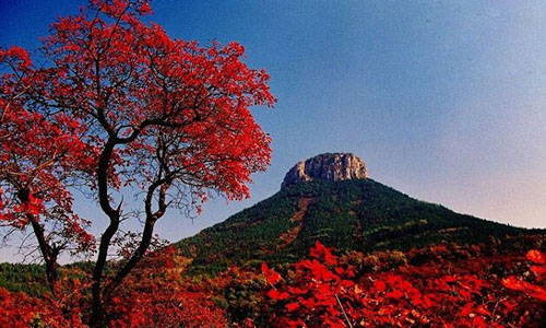 枣庄旅游景点大全——抱犊崮国家森林公园 枣庄旅游景点大全——抱犊崮国家森林公园