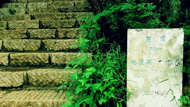 枣庄旅游景点攻略之抱犊崮国家森林公园 枣庄旅游景点攻略之抱犊崮国家森林公园