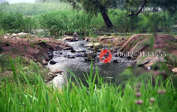 台儿庄运河国家湿地公园欢迎你们 <a href='https://www.0632jj.cn/tezyh/' target='_blank'><u>台儿庄运河</u></a>国家湿地公园欢迎你们