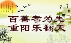 重阳节台儿庄古城门票价格,团购,优惠政策