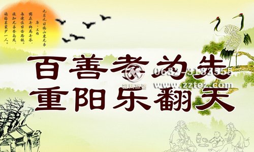 2020年重阳节台儿庄古城门票