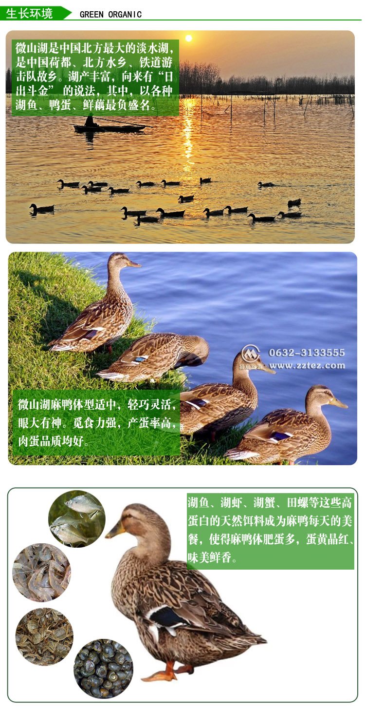 微山湖咸鸭蛋,微山湖特产NO.1