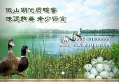微山湖咸鸭蛋_微山湖特产推荐（图）
