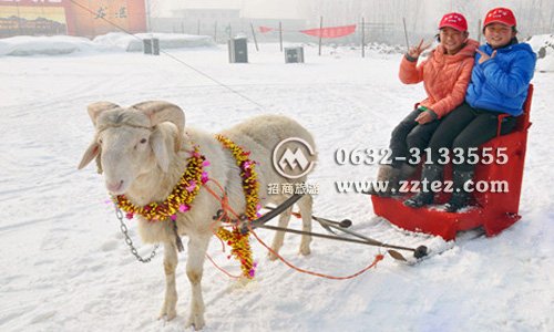 济宁到台儿庄自驾游玩什么-滑雪场