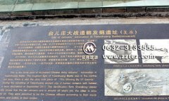 台儿庄战役的意义 三个角度看问题（图）