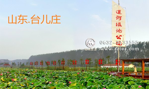 台儿庄古城-运河湿地公园