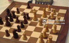 【台儿庄古城杯】国际象棋精英赛