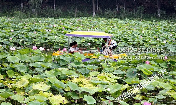 台儿庄运河湿地公园怎么去