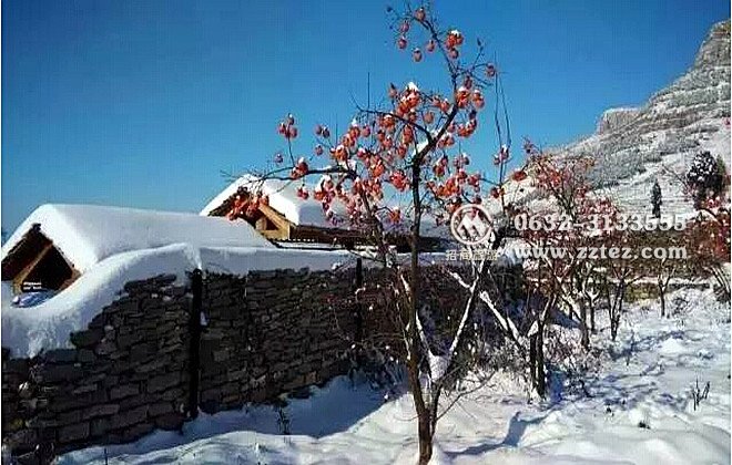 山亭翼云石头部落雪景