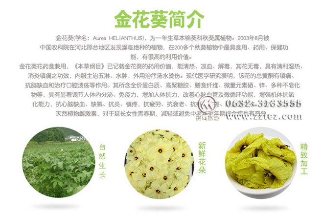 金花葵花茶价格功效和简介