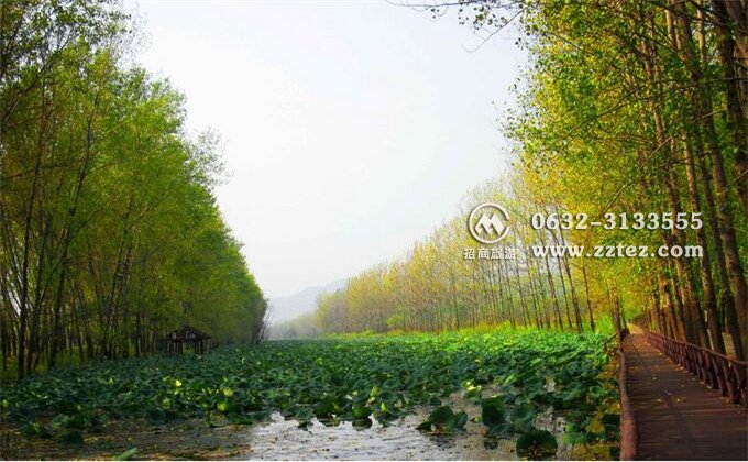 台儿庄古城+抱犊崮+微山湖三日游线路推荐
