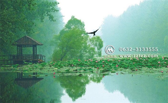 台儿庄红色教育学习规划方案（二日）