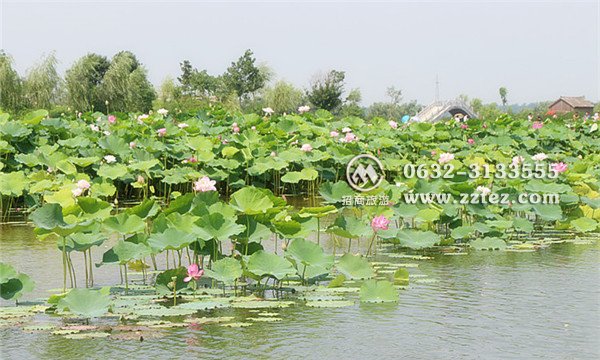 微山湖湿地好玩吗 微山湖湿地好玩吗