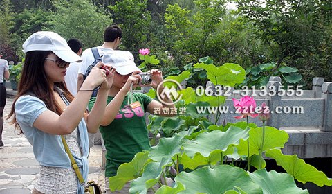 微山湖湿地好玩吗 微山湖湿地好玩吗