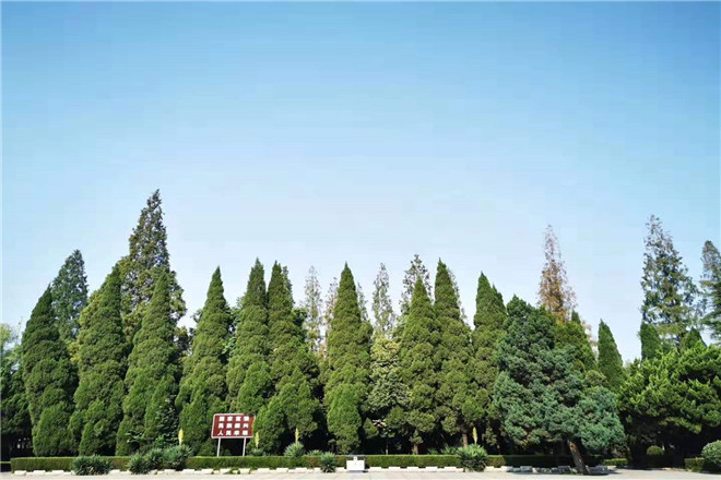 徐州市内红色教育景点有哪些_徐州市红色教育基地介绍