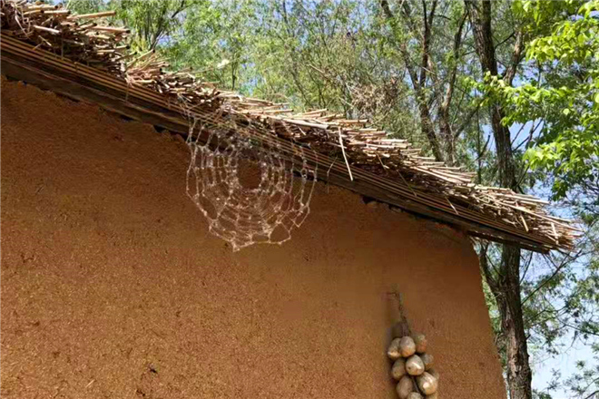 枣庄红色教育基地简介_枣庄红色教育基地介绍-滕州微山湖湿地