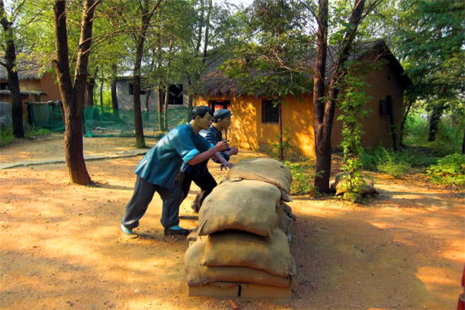 枣庄有哪些红色教育基地_枣庄红色教育基地有哪些-滕州微山湖湿地图片