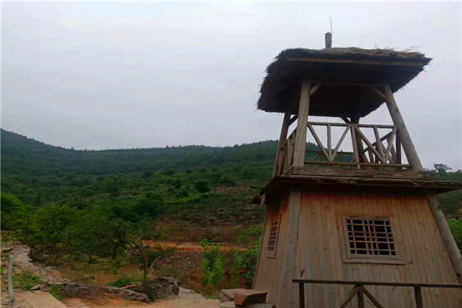 枣庄有哪些红色教育基地_枣庄红色教育基地有哪些-抱犊崮115师纪念园图片