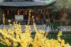 问：11岁台儿庄古城怎么买票