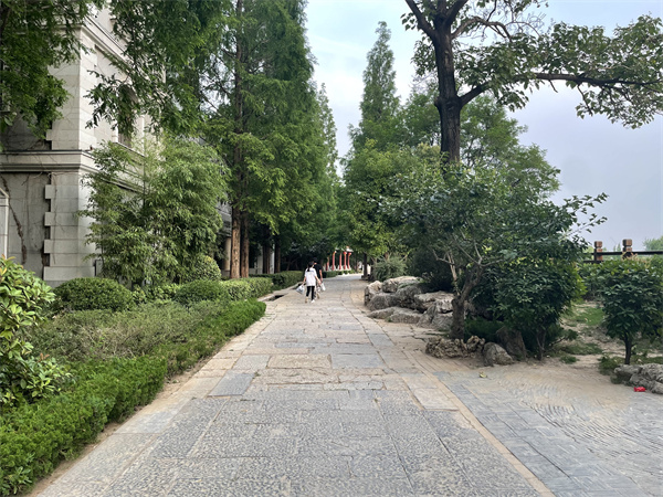 2022台儿庄古城民宿哪家好
