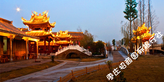 台儿庄古城夜景--沿河街 台儿庄古城夜景--沿河街
