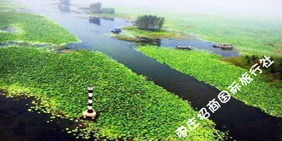 台儿庄运河 台儿庄运河湿地公园