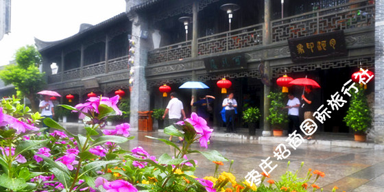 台儿庄古城雨中的鲜花怒放