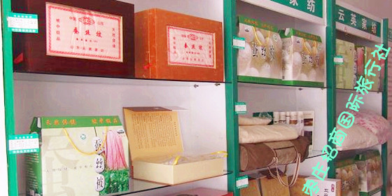 台儿庄蚕丝被专卖店
