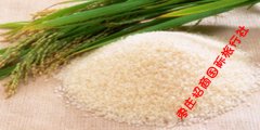 枣庄台儿庄特产“涛沟桥大米”