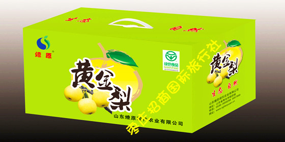 台儿庄黄金梨