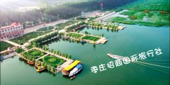 台儿庄到滕州微山湖红荷湿地怎么走