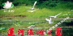 台儿庄运河湿地公园有什么好玩的 台儿庄运河湿地公园有什么好玩的