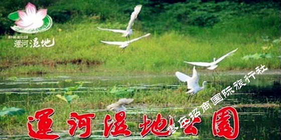 <a href='https://www.0632jj.cn/' target='_blank'><u>台儿庄古城</u></a>运河湿地